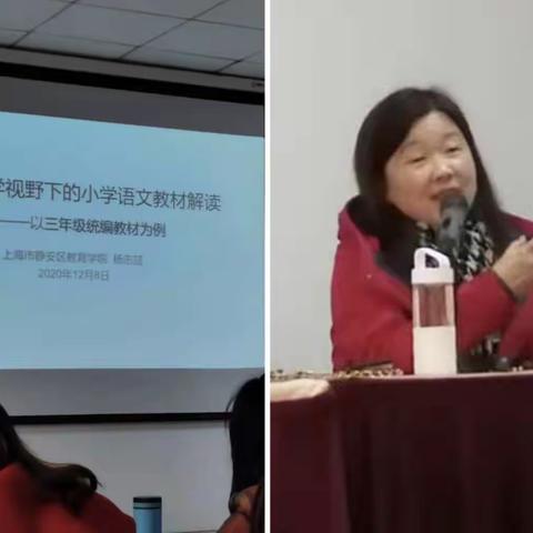 培训促提升，提升求发展  ----“单元教学视野下的小学语文教材解读 ”培训小撷