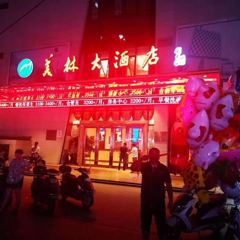 美林之夜