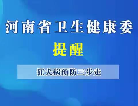 【豫健科普】正确预防狂犬病？你需要做到这三步