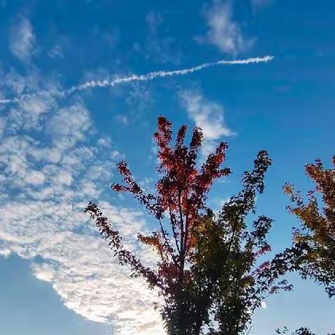 凉空好意（虐心五首）