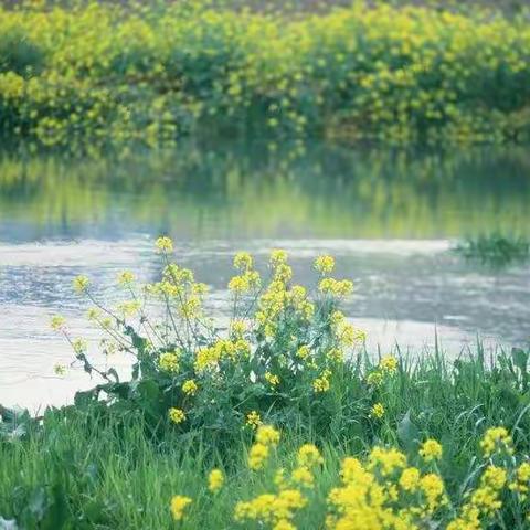 桐南小学三年5班唐子聪