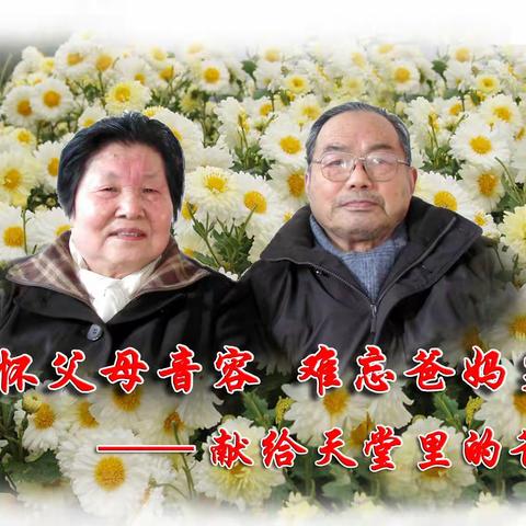 清明时节忆父母