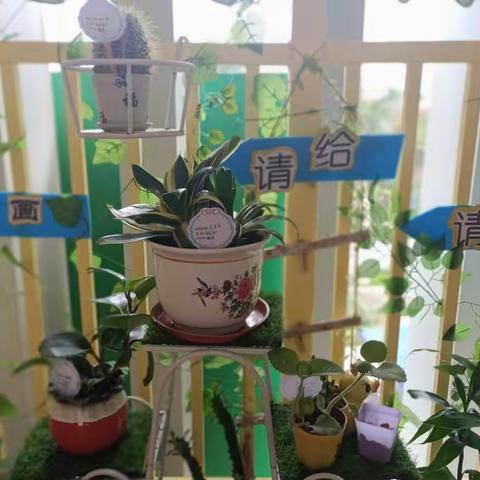 小小植物角，亲近大自然--贝迪堡童话幼儿园植物角创设活动