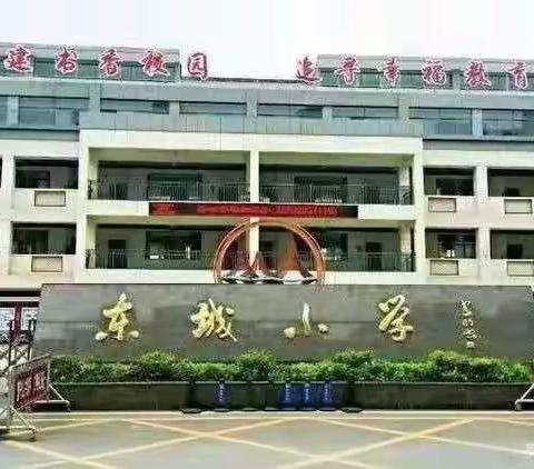 盛会谱华章 未来皆向好——东城小学第八周值周小结