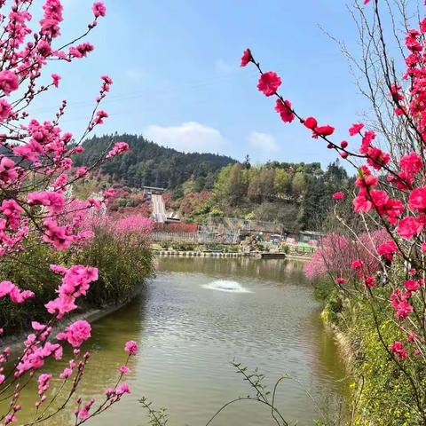 重庆太寺垭森林公园