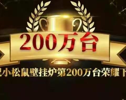 广州迪森集团小松鼠电壁挂炉