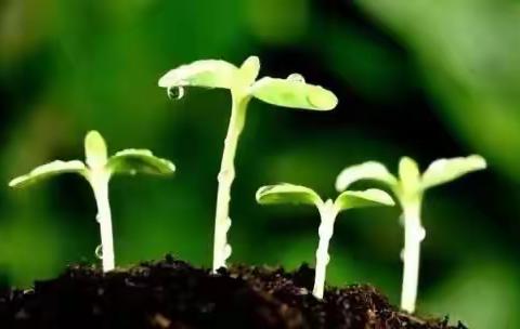 聆听家族奋斗史，滋养生命新里程