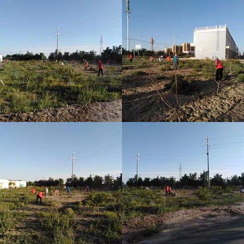 凝心聚力除草忙，我为新村添色彩