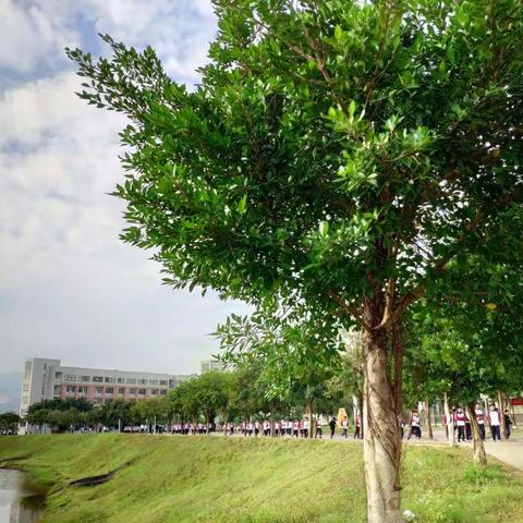 道固远，笃远可至；事虽巨，坚为必成。——广东省岳趁引名教师工作室骨干教师2018跟岗学习活动（二）