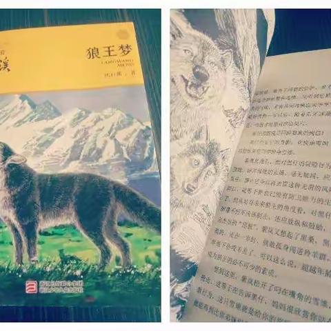🎉🎉🎉语文阅读推广小达人🌟🌟🌟🌟🌟——海口市第二十七小学五（8）班张泽宸👏👏👏