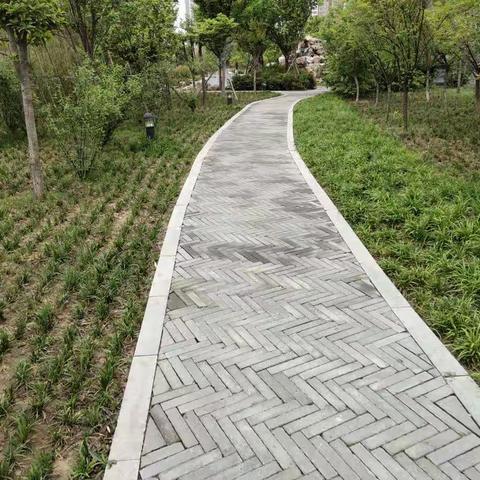 晨练