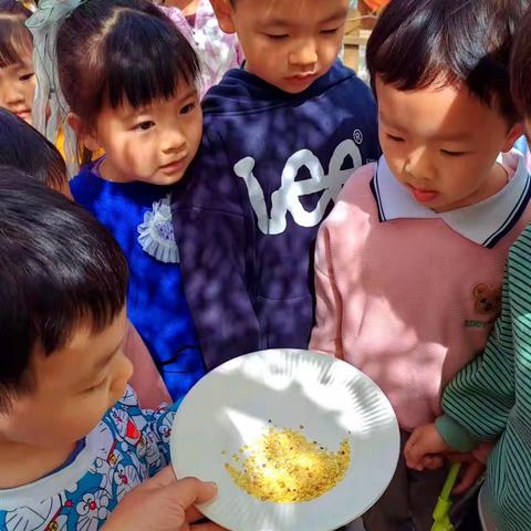 银川市第八幼儿园春日植趣记活动