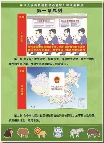 【高新教育】保护野生动物 守护多样之美—高新33幼《中华人民共和国野生动物保护法》宣传