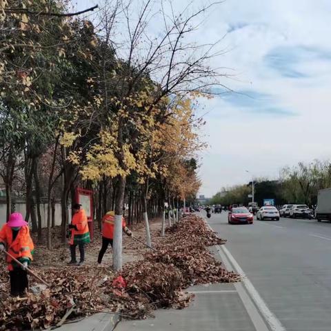 【城市管理人居环境整治.浉河区在行动】12月21日工作情况汇报