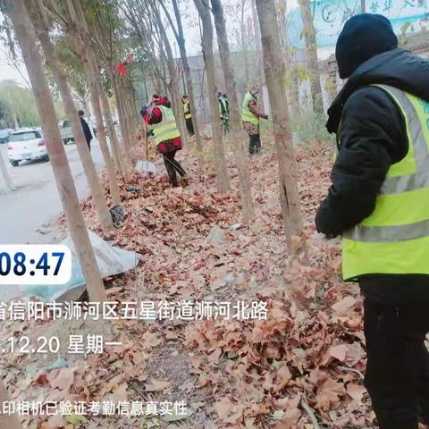 【城市管理人居环境整治.浉河区在行动】12月20日工作情况汇报