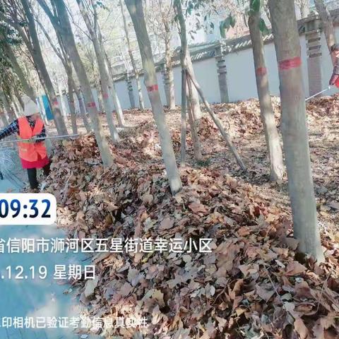 【城市管理人居环境整治.浉河区在行动】12月19日工作情况汇报