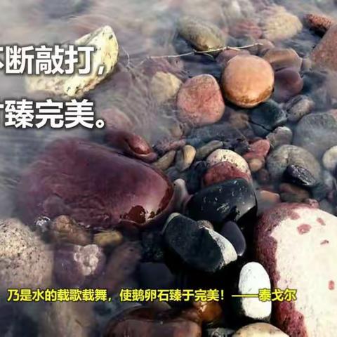 【板泉二中】阅读:“向着明亮那方”撑渡——板泉二中新教育线上培训学习《儿童课程:晨诵·午读·暮省》