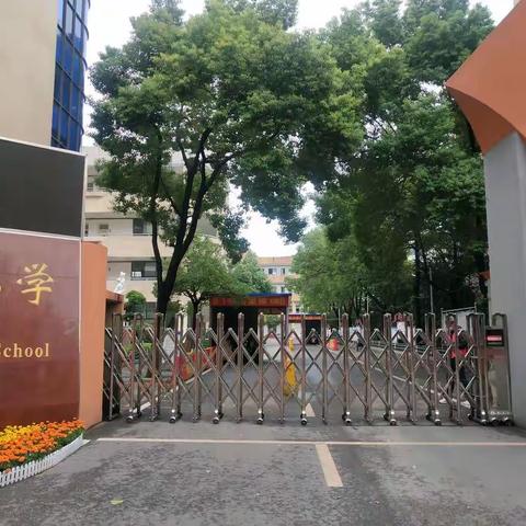 紫色风铃的美篇