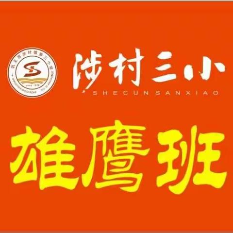 团结就是力量(涉村三小军训纪实)