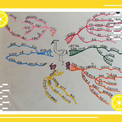 古交五年级一班暑假作业——思维导图