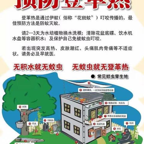 预防登革热，刻不容缓——文昌市会文镇文林小学