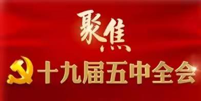 红领巾心向党，全会精神我宣讲 ——第一实验小学教育集团少先队主题教育活动