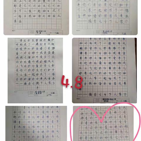 妙笔生辉，书我风采——高密市第一实验小学硬笔书法比赛（四年级篇）