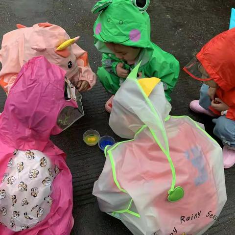 自然里•喻家坡幼儿园杨梅班自然活动——《雨中游戏》