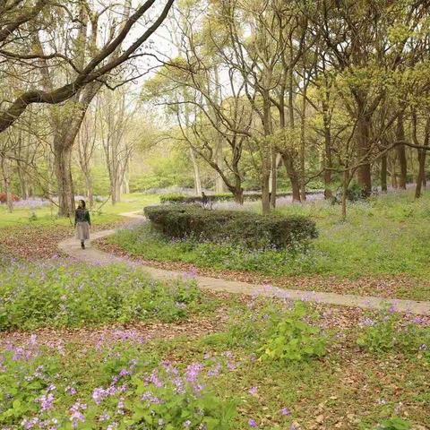 我愿做一个清澈的人，不卑不亢，温暖生活