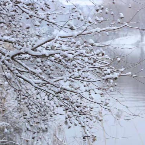 邂逅2018年连云港第一场雪