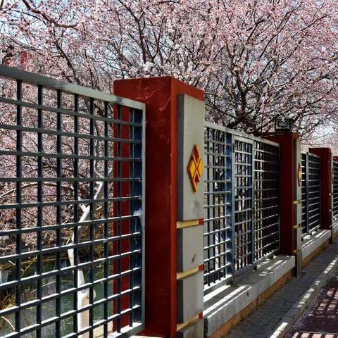 春天的召唤    十里堡