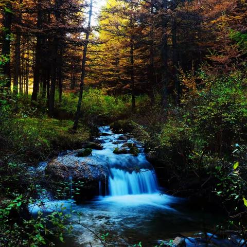 秘境之约——瑜伽