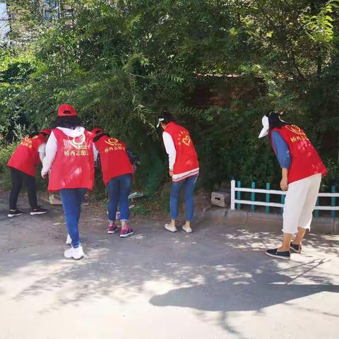 张家口创城进行时～桥西区北新村小学红马甲在行动