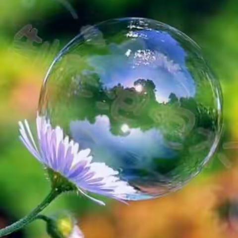 “吹出快乐童年”——北新村小学三年级停课不停学语文实践活动