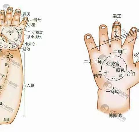 好消息好消息催乳师、小儿推拿师速成班开始招生