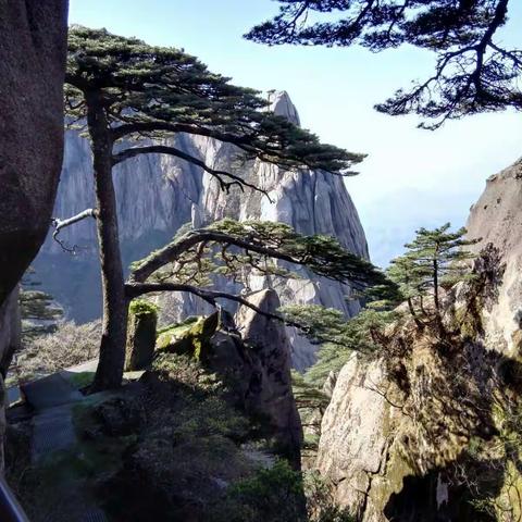 2017年4月20日至23日，到西递，宏村，千岛湖，九华山，黄山旅游，手机拍摄的照片美景共赏。