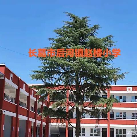 凝心聚力谋发展  齐心协力创辉煌——赵楼小学及附属幼儿园教师座谈会