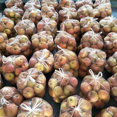 春节给院民准备丰盛的食品