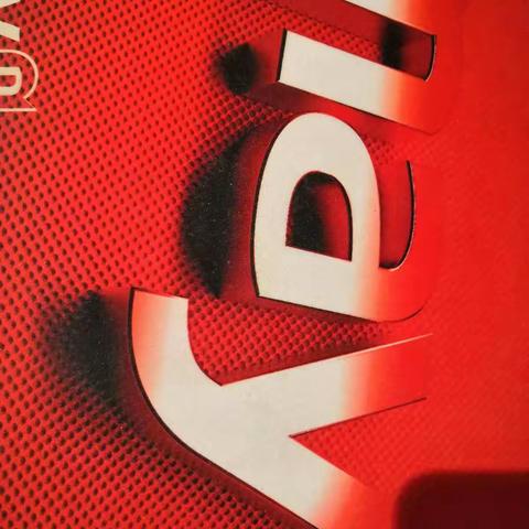 大地白雪皑皑万树银装素裹