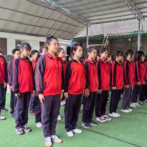 五三班社会实践简录