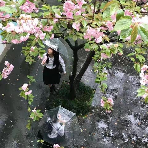 三月小雨