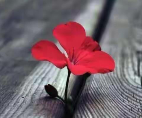 今年的冬至你在哪里