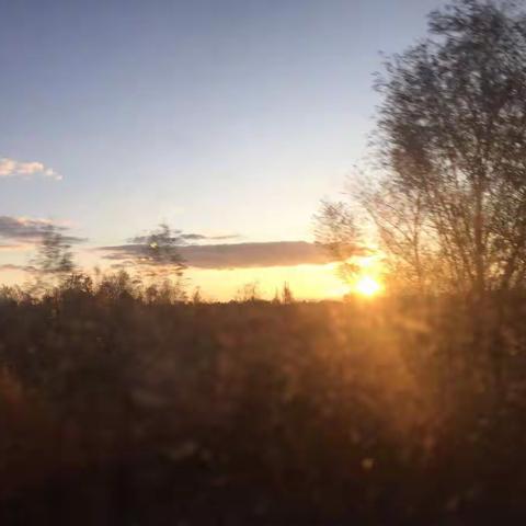 是谁，将你打扮的如此绚烂