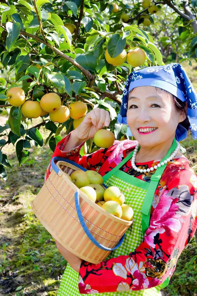 梦中河畔梨香，友情的甜蜜与回忆的涟漪