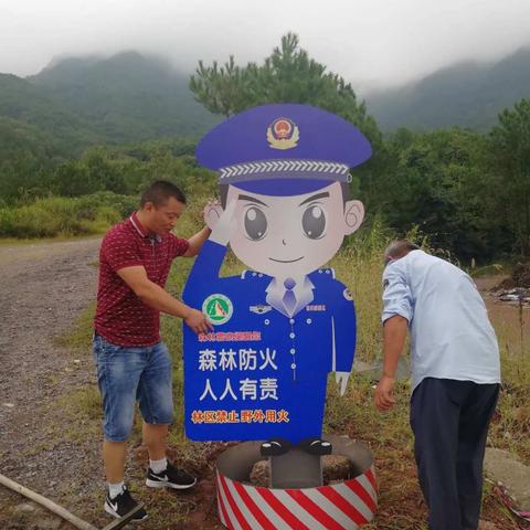 电子森林警察，守护绿水青山