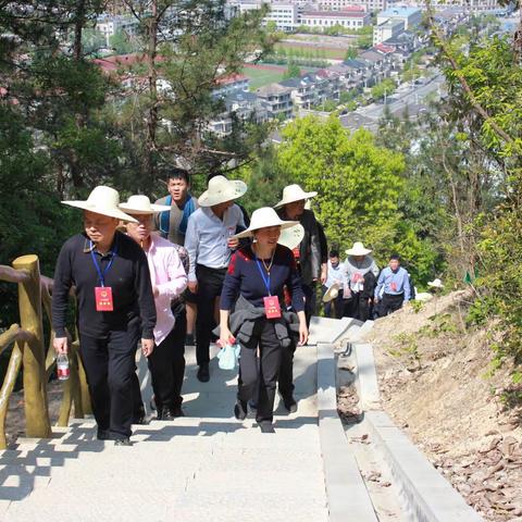 市人大常委会主任朱志杰一行专题视察南山森林公园建设