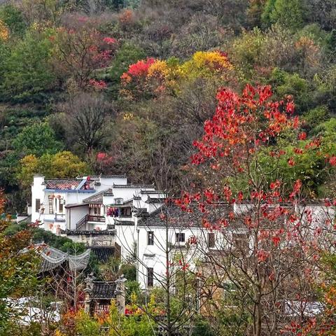 追寻秋天的踪迹