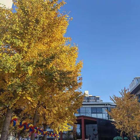 童趣识秋，共话美好