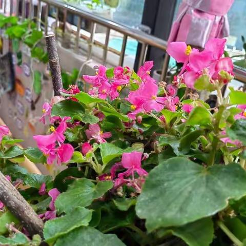 健康成长，爱满吉祥💗