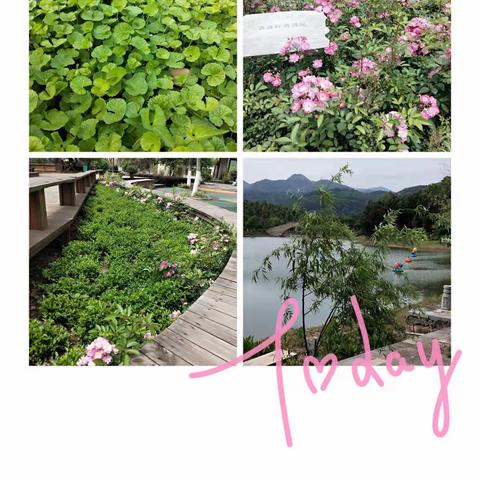🍀寻找大自然的色彩🌸🌾